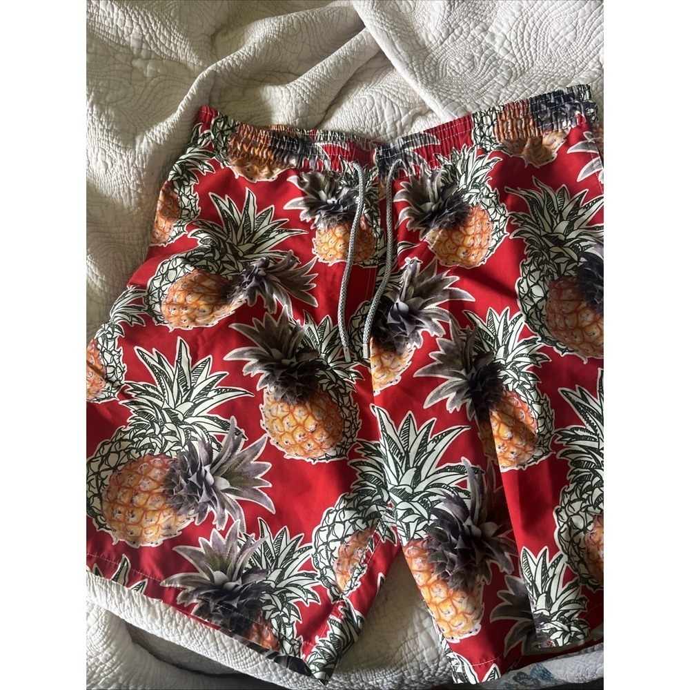 Vilebrequin Men XXL Allover Pineapple Stretch Waistband Drawstring Swim Short